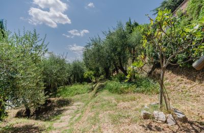 Demeure historique à vendre Montecalvoli, Toscane, Image 37/44