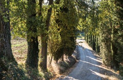 Demeure historique à vendre Torrenieri, Toscane, Accès