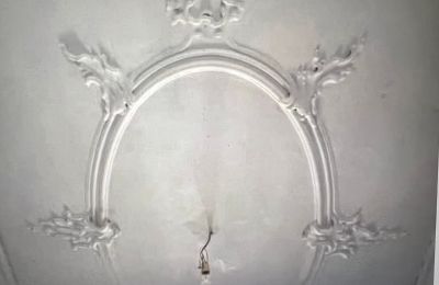Château à vendre Baden-Württemberg, Image 34/38