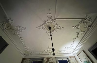 Château à vendre Baden-Württemberg, Image 33/38