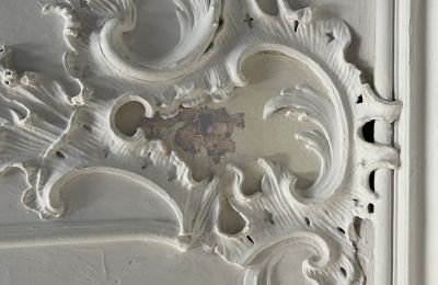 Château à vendre Baden-Württemberg, Image 32/38