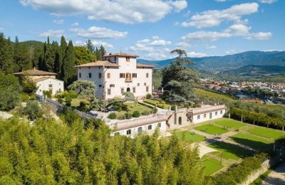 Manoir à vendre Firenze, Toscane, Vue générale