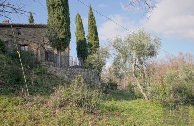 Maison de campagne à vendre Cortona, Toscane, Image 14/35