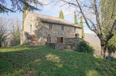 Maison de campagne à vendre Cortona, Toscane, Image 3/35