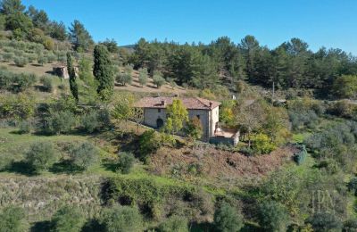 Maison de campagne à vendre 06010 Monte Santa Maria Tiberina, Ombrie, Image 4/28