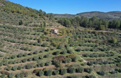 Maison de campagne à vendre 06010 Monte Santa Maria Tiberina, Ombrie, Image 5/28