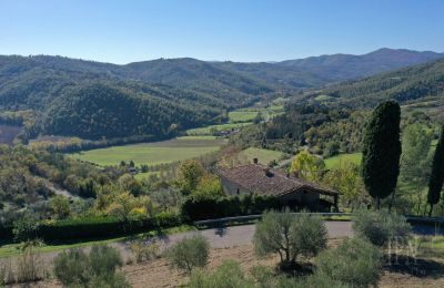 Maison de campagne à vendre 06010 Monte Santa Maria Tiberina, Ombrie, Image 7/28