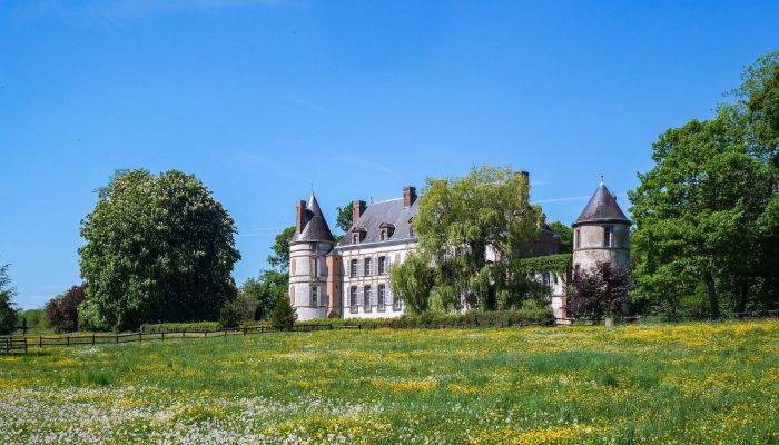Château à vendre Sens, Bourgogne-Franche-Comté,  France