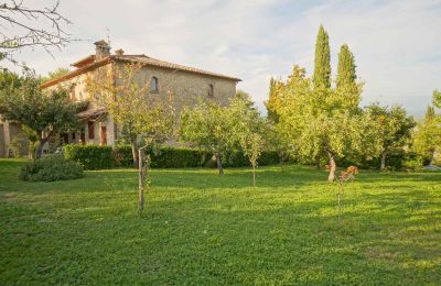 Maison de campagne à vendre Lerchi, Ombrie, Image 10/35