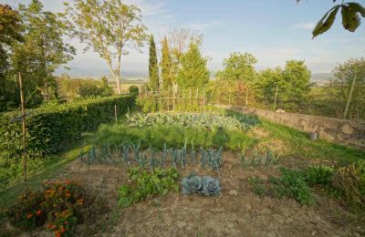 Maison de campagne à vendre Lerchi, Ombrie, Image 9/35