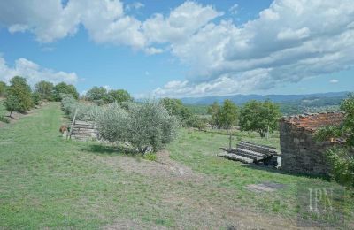 Demeure historique à vendre Monterchi, Toscane, Image 22/24