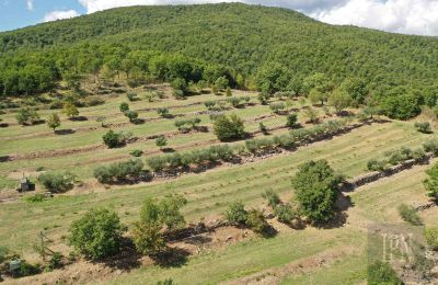 Demeure historique à vendre Monterchi, Toscane, Image 24/24