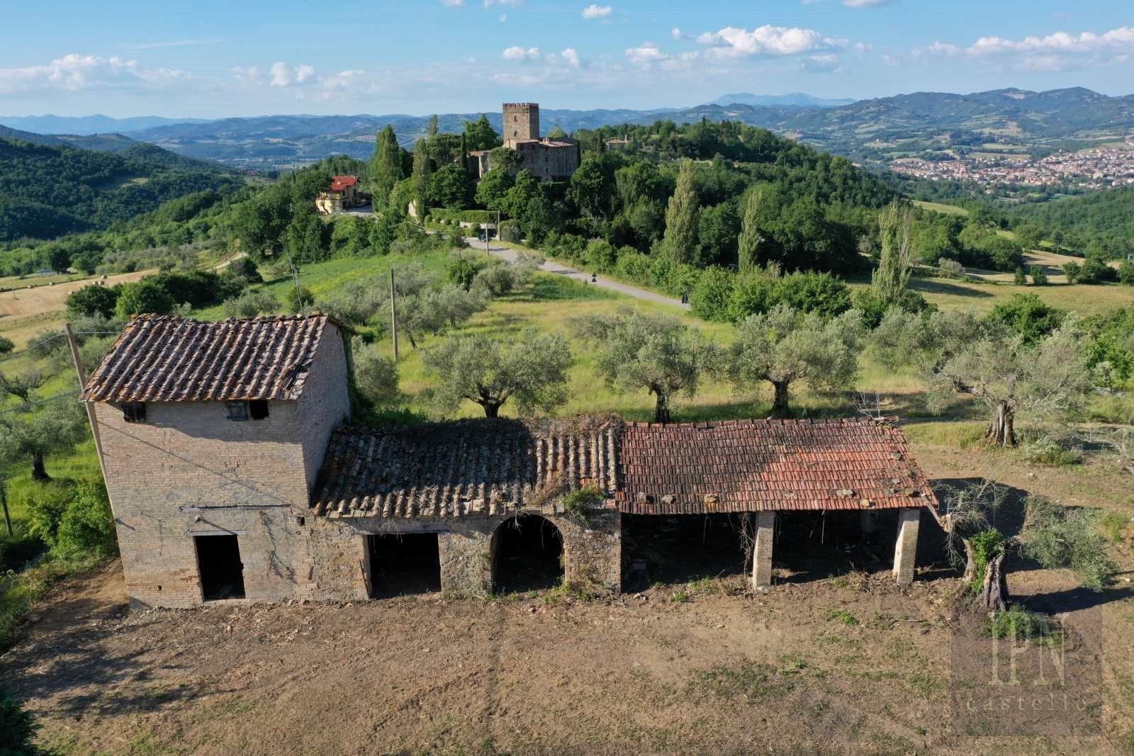 Photos Polgeto Olive Barn Project
