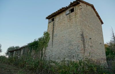 Maison de campagne à vendre 06019 Umbertide, Ombrie, Image 11/14