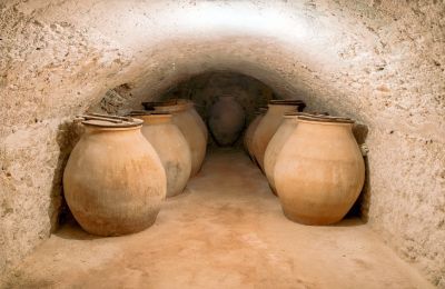Demeures historiques en Castille : Casa de la Cúpula, Cave à vin
