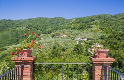 Maison de campagne à vendre Pistoia, Toscane, Vue