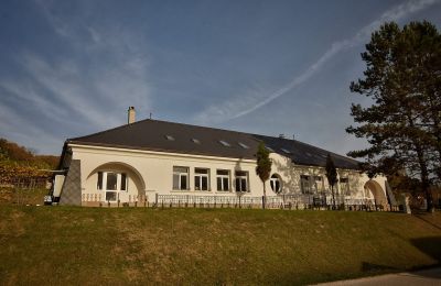 Manoir à vendre Trenčiansky kraj, okres Trenčín, Melčice - Lieskové, Melčice, Région de Trenčín, Image 26/27
