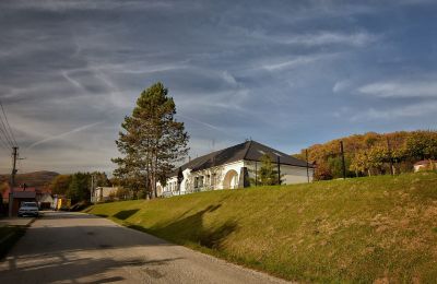 Manoir à vendre Trenčiansky kraj, okres Trenčín, Melčice - Lieskové, Melčice, Région de Trenčín, Image 9/27