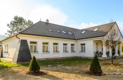 Manoir à vendre Trenčiansky kraj, okres Trenčín, Melčice - Lieskové, Melčice, Région de Trenčín, Image 3/27