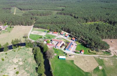 Manoir à vendre Krzyż Wielkopolski, Grande-Pologne, Image 16/20