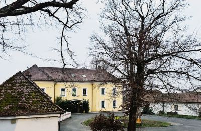 Château à vendre 92237 Sulzbach-Rosenberg, Schlossbergweg  10, Bavière, Vue frontale