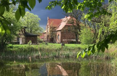 Manoir 17139 Malchin, Mecklembourg-Poméranie-Occidentale