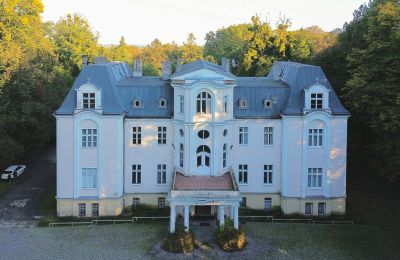 Château à vendre Zakrzów, Opole, Vue frontale