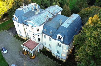 Château à vendre Zakrzów, Opole, Toit