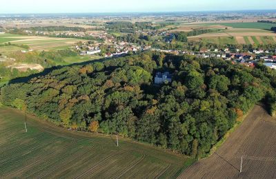 Château à vendre Zakrzów, Opole, Situation du bien