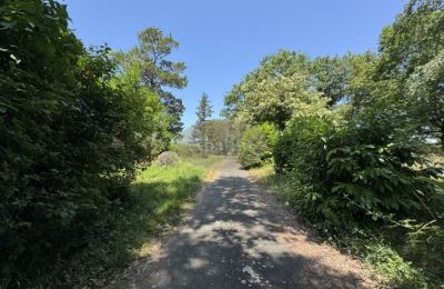 Propriété historique à vendre Lannemezan, Occitanie, Image 2/19