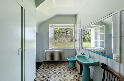Propriété historique à vendre Lannemezan, Occitanie, Image 16/19