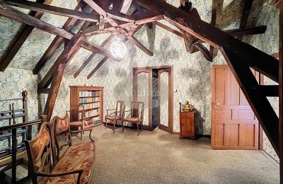 Propriété historique à vendre Lannemezan, Occitanie, Image 10/19