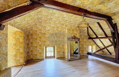 Propriété historique à vendre Lannemezan, Occitanie, Image 12/19