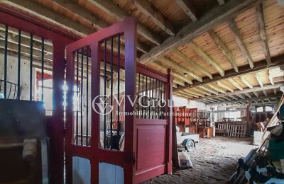 Manoir à vendre Le Dorat, Nouvelle-Aquitaine, Image 13/14