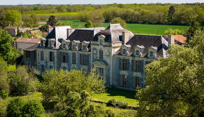 Château maniériste d'époque Louis XIII