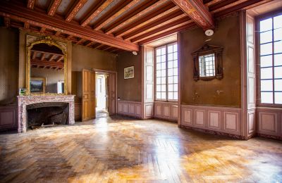 Château à vendre Thouars, Nouvelle-Aquitaine, Image 8/16