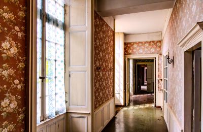 Château à vendre Thouars, Nouvelle-Aquitaine, Image 14/16
