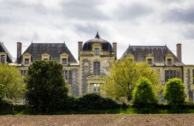 Château à vendre Thouars, Nouvelle-Aquitaine, Image 2/16