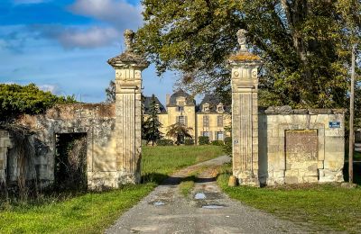 Château à vendre Thouars, Nouvelle-Aquitaine, Image 1/16