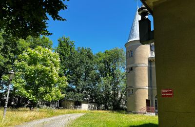 Château à vendre Łubie, Pyskowicka 34, Silésie, Image 5/20