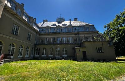 Château à vendre Łubie, Pyskowicka 34, Silésie, Image 3/20