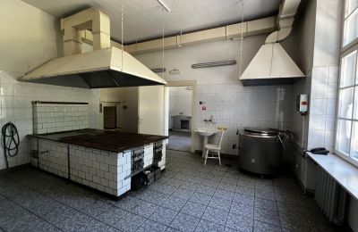 Château à vendre Łubie, Pyskowicka 34, Silésie, Image 20/20