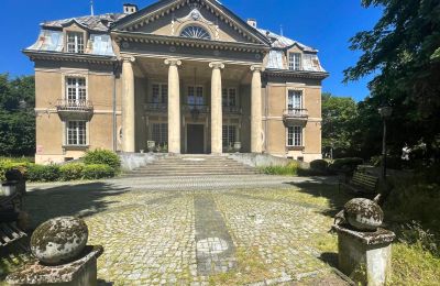 Château à vendre Łubie, Pyskowicka 34, Silésie, Vue frontale