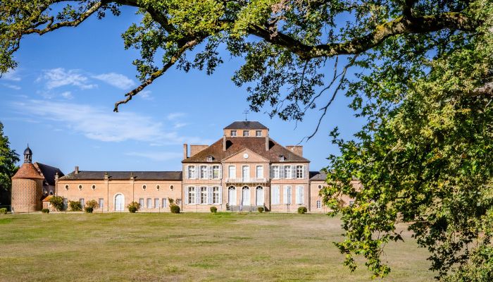 Château à vendre Nevers, Bourgogne-Franche-Comté,  France