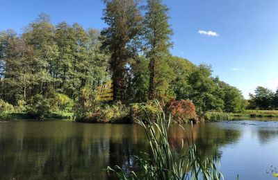 Manoir à vendre Ojrzanów, Pałac w Ojrzanowie, Mazovie, Lac/étang