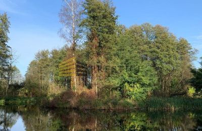 Manoir à vendre Ojrzanów, Pałac w Ojrzanowie, Mazovie, Parc