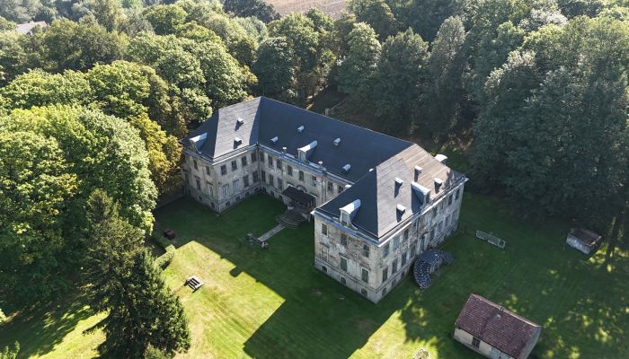 Château à vendre Pobiedna, Basse-Silésie,  Pologne