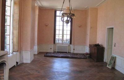 Immobilier historique à vendre Seine-et-Marne:  