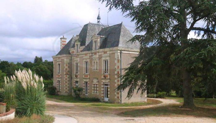 ???images??? Charming Chateau nr Anjou with 3 Gites - River frontage