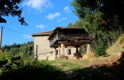 Maison de campagne à vendre Niévares, Asturies, Image 39/39